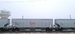 CN 113648